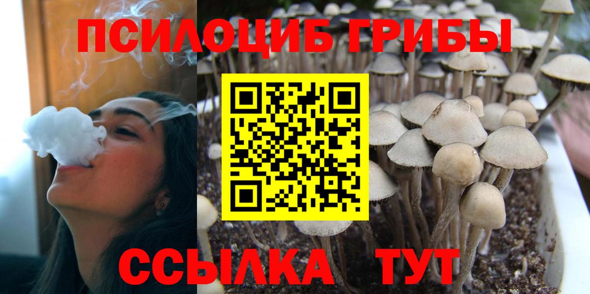 Воткинск  Галлюциногенные грибы GOLDEN TEACHER  Галлюциногенные грибы Psilocybine cubensis  Вход с VPN 