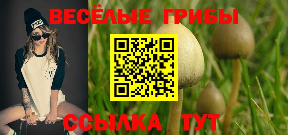 Псилоцибиновые грибы мухоморы Воткинск